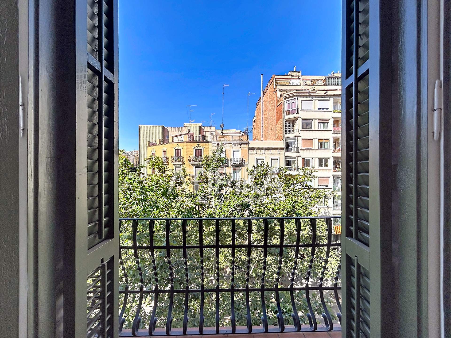 Foto 59
