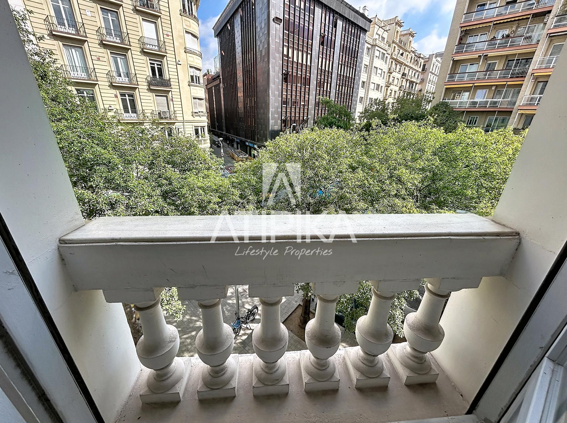 Foto 22